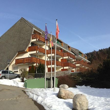 Appartement Haus Dachsberg Todtmoos Extérieur photo