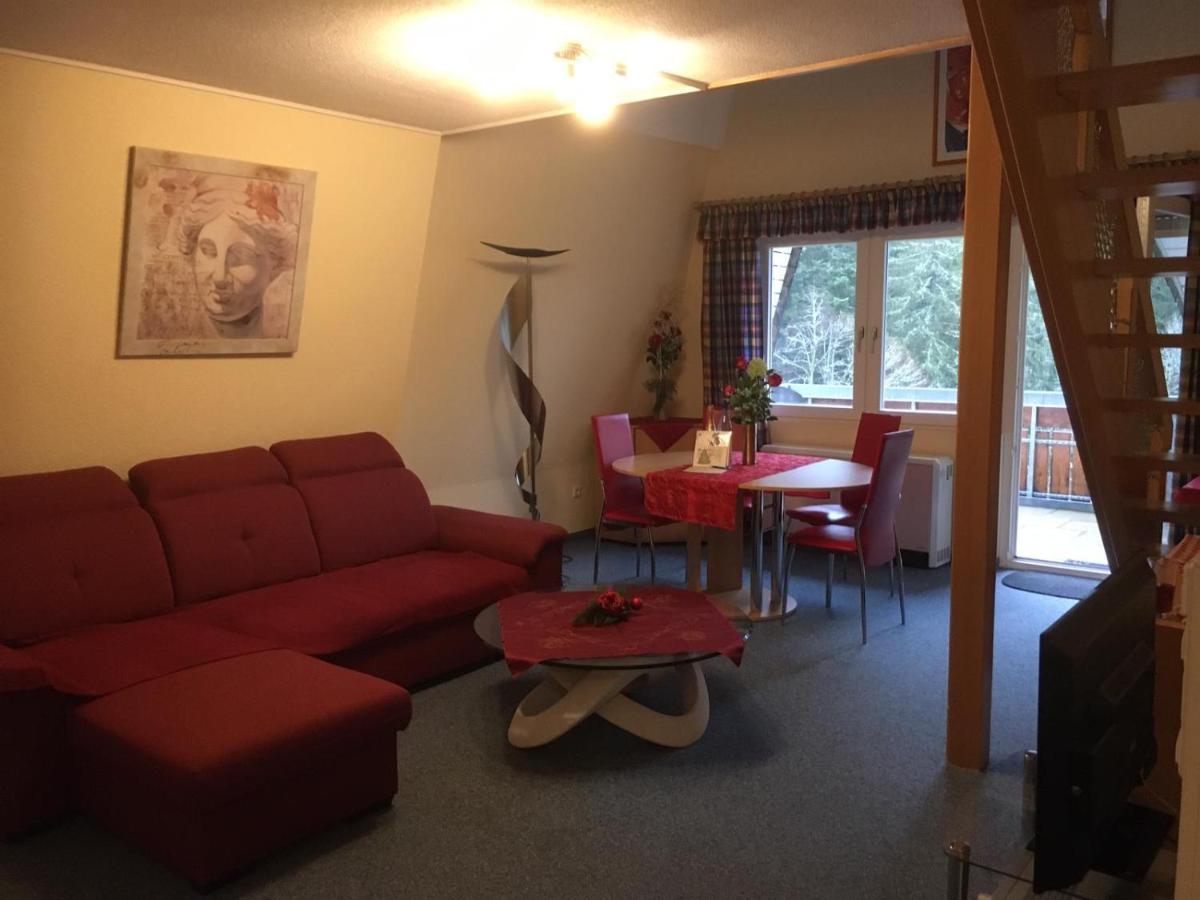 Appartement Haus Dachsberg Todtmoos Extérieur photo