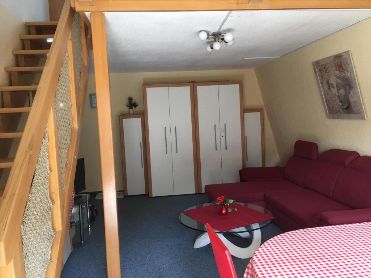 Appartement Haus Dachsberg Todtmoos Extérieur photo