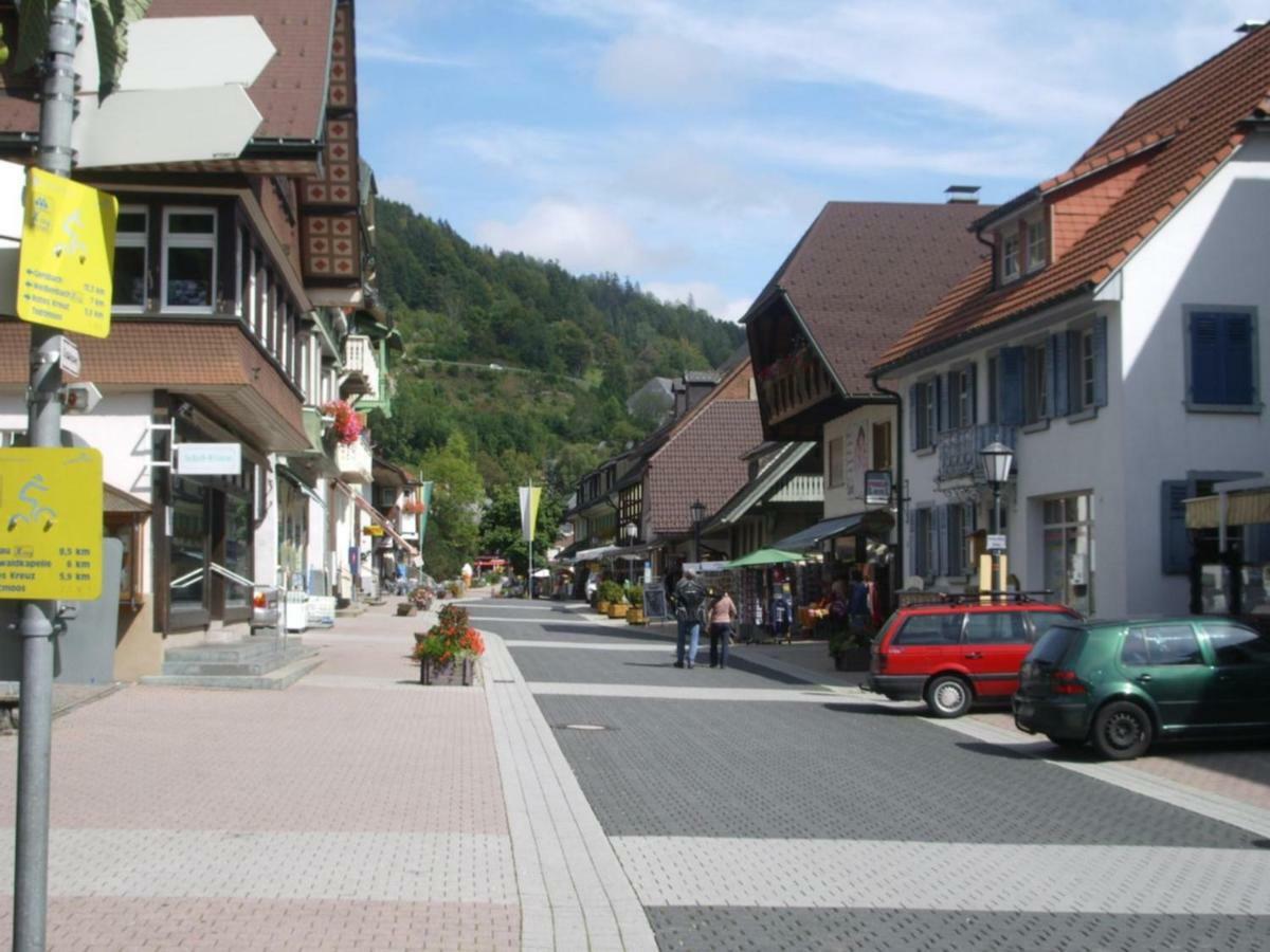 Appartement Haus Dachsberg Todtmoos Extérieur photo
