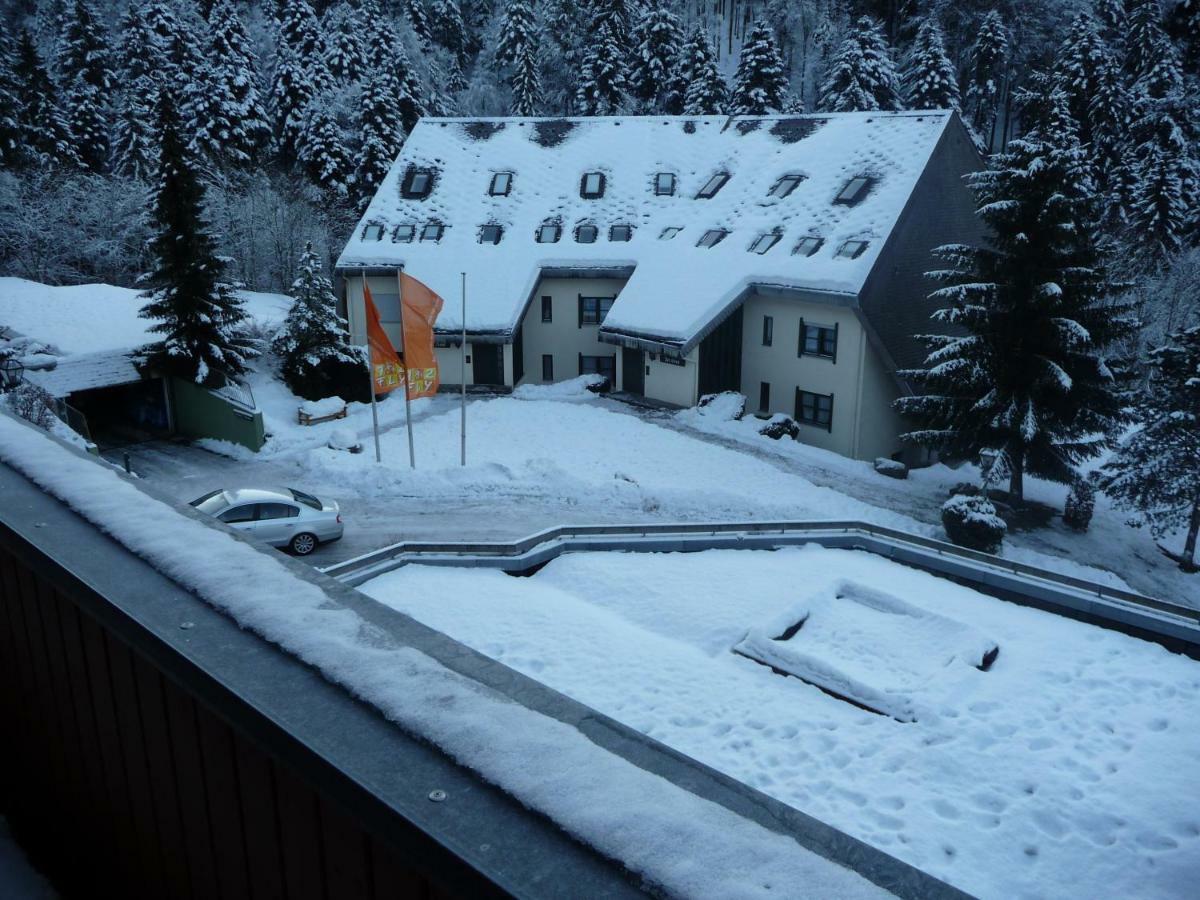 Appartement Haus Dachsberg Todtmoos Extérieur photo