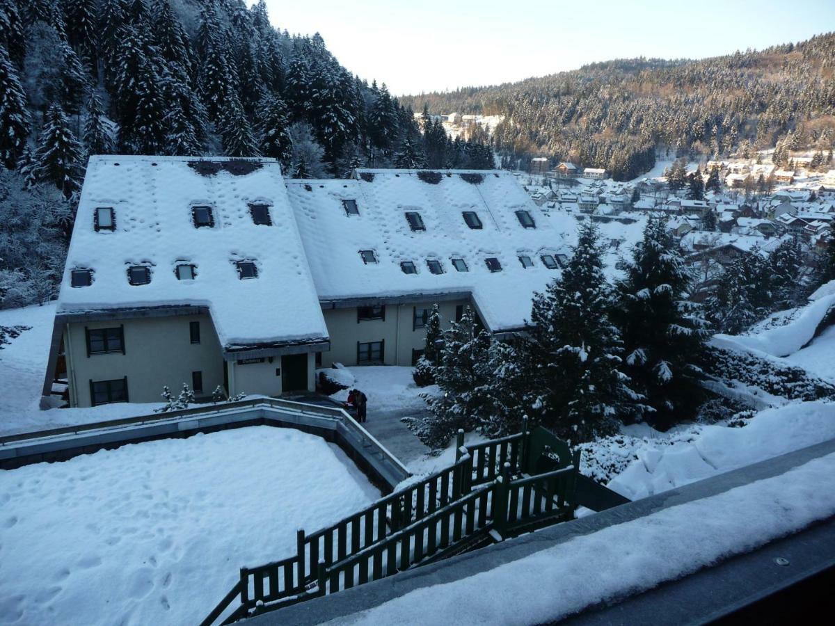 Appartement Haus Dachsberg Todtmoos Extérieur photo